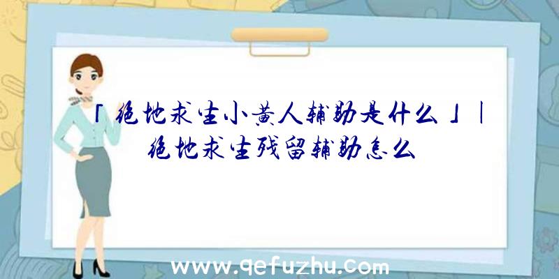 「绝地求生小黄人辅助是什么」|绝地求生残留辅助怎么